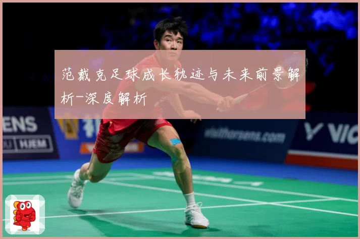 范戴克足球成长轨迹与未来前景解析-深度解析