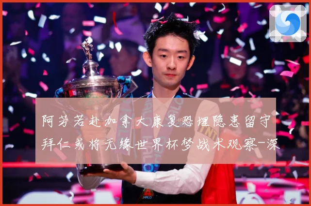 阿芳若赴加拿大康复恐埋隐患留守拜仁或将无缘世界杯梦战术观察-深度解析
