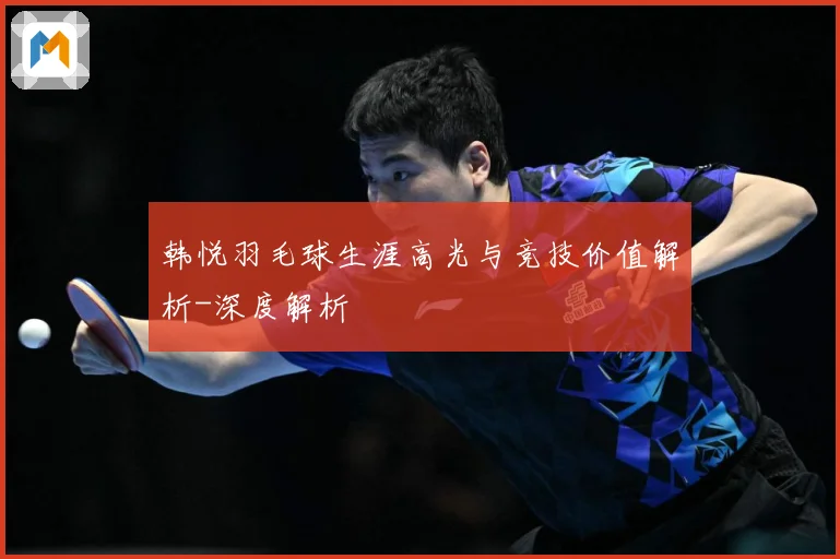 韩悦羽毛球生涯高光与竞技价值解析-深度解析