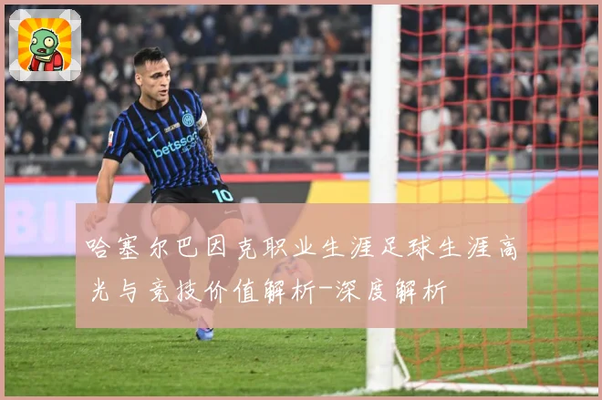 哈塞尔巴因克职业生涯足球生涯高光与竞技价值解析-深度解析